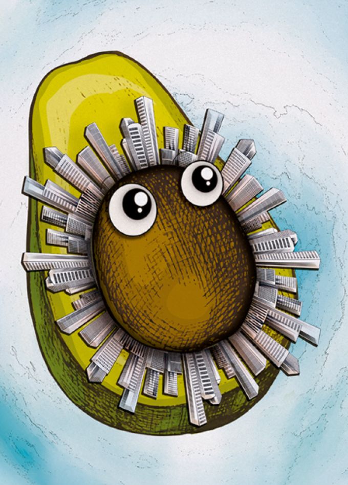 Авокадо Тян