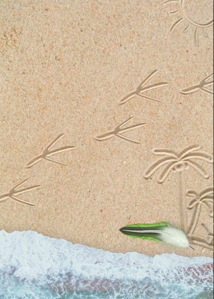 Попугайчик Пай