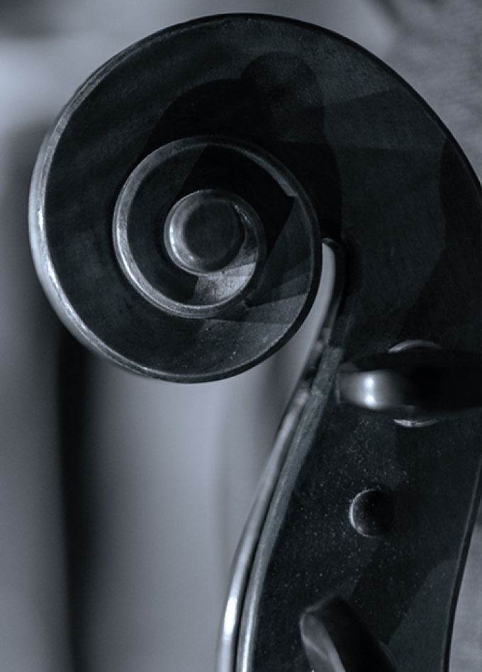 Созвездие молодых. Концерт