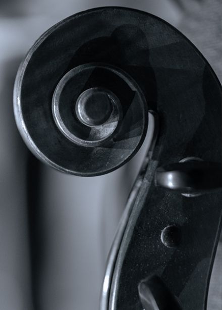 Созвездие молодых. Концерт